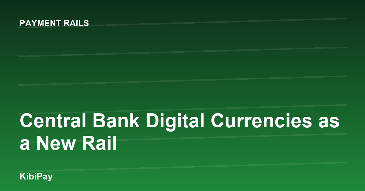 Central Bank Digital Currencies as a New Rail