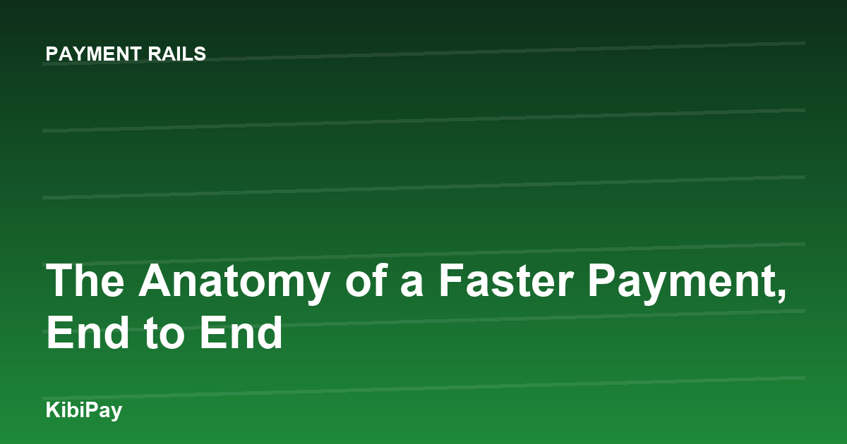 The Anatomy of a Faster Payment, End to End